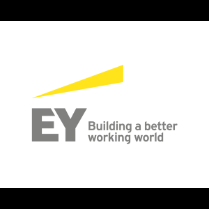 E&Y - CORE BUSINESS SERVICES BV/SRL